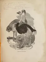 An illustration from The practical ostrich feather dyer (1888)