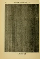 An illustration from Practical painting : and how to use the Heath & Milligan paints (1905)