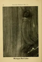 An illustration from Practical painting : and how to use the Heath & Milligan paints (1905)