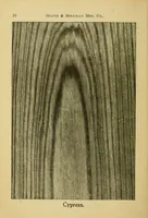 An illustration from Practical painting : and how to use the Heath & Milligan paints (1905)