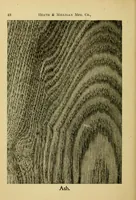 An illustration from Practical painting : and how to use the Heath & Milligan paints (1905)