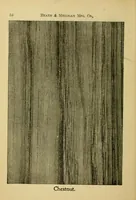 An illustration from Practical painting : and how to use the Heath & Milligan paints (1905)