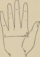 An illustration from Practical palmistry : a reliable treatise on the art of character reading and methods of recalling past and foretelling future events upon examination of the hand (1904)