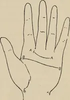 An illustration from Practical palmistry : a reliable treatise on the art of character reading and methods of recalling past and foretelling future events upon examination of the hand (1904)