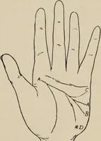 An illustration from Practical palmistry : a reliable treatise on the art of character reading and methods of recalling past and foretelling future events upon examination of the hand (1904)