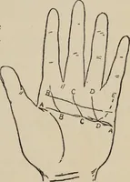 An illustration from Practical palmistry : a reliable treatise on the art of character reading and methods of recalling past and foretelling future events upon examination of the hand (1904)