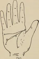 An illustration from Practical palmistry : a reliable treatise on the art of character reading and methods of recalling past and foretelling future events upon examination of the hand (1904)