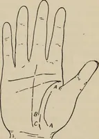 An illustration from Practical palmistry : a reliable treatise on the art of character reading and methods of recalling past and foretelling future events upon examination of the hand (1904)