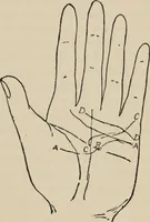 An illustration from Practical palmistry : a reliable treatise on the art of character reading and methods of recalling past and foretelling future events upon examination of the hand (1904)