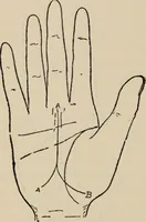 An illustration from Practical palmistry : a reliable treatise on the art of character reading and methods of recalling past and foretelling future events upon examination of the hand (1904)
