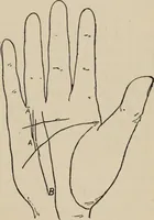 An illustration from Practical palmistry : a reliable treatise on the art of character reading and methods of recalling past and foretelling future events upon examination of the hand (1904)