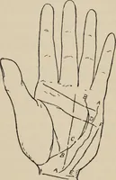 An illustration from Practical palmistry : a reliable treatise on the art of character reading and methods of recalling past and foretelling future events upon examination of the hand (1904)