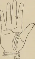 An illustration from Practical palmistry : a reliable treatise on the art of character reading and methods of recalling past and foretelling future events upon examination of the hand (1904)