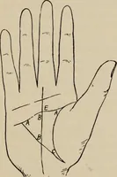 An illustration from Practical palmistry : a reliable treatise on the art of character reading and methods of recalling past and foretelling future events upon examination of the hand (1904)