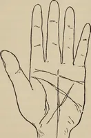 An illustration from Practical palmistry : a reliable treatise on the art of character reading and methods of recalling past and foretelling future events upon examination of the hand (1904)