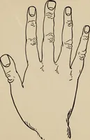 An illustration from Practical palmistry : a reliable treatise on the art of character reading and methods of recalling past and foretelling future events upon examination of the hand (1904)