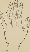 An illustration from Practical palmistry : a reliable treatise on the art of character reading and methods of recalling past and foretelling future events upon examination of the hand (1904)