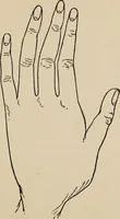An illustration from Practical palmistry : a reliable treatise on the art of character reading and methods of recalling past and foretelling future events upon examination of the hand (1904)