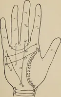 An illustration from Practical palmistry : a reliable treatise on the art of character reading and methods of recalling past and foretelling future events upon examination of the hand (1904)