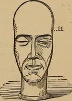 An illustration from The practical phrenologist and recorder and delineator of the character and talents of [blank], as marked by [blank] : a compendium of phreno-organic science (1869)