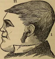 An illustration from The practical phrenologist and recorder and delineator of the character and talents of [blank], as marked by [blank] : a compendium of phreno-organic science (1869)