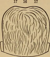 An illustration from The practical phrenologist and recorder and delineator of the character and talents of [blank], as marked by [blank] : a compendium of phreno-organic science (1869)