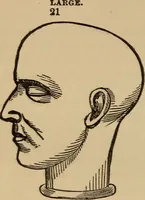 An illustration from The practical phrenologist and recorder and delineator of the character and talents of [blank], as marked by [blank] : a compendium of phreno-organic science (1869)