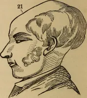 An illustration from The practical phrenologist and recorder and delineator of the character and talents of [blank], as marked by [blank] : a compendium of phreno-organic science (1869)