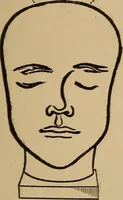 Picture 58 of 70 from The practical phrenologist and recorder and delineator of the character and talents of [blank], as marked by [blank] : a compendium of phreno-organic science (1869), leaf 144