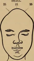 An illustration from The practical phrenologist and recorder and delineator of the character and talents of [blank], as marked by [blank] : a compendium of phreno-organic science (1869)
