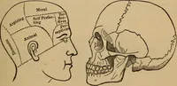 An illustration from The practical phrenologist and recorder and delineator of the character and talents of [blank], as marked by [blank] : a compendium of phreno-organic science (1869)