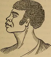 An illustration from The practical phrenologist and recorder and delineator of the character and talents of [blank], as marked by [blank] : a compendium of phreno-organic science (1869)