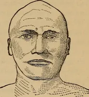 An illustration from The practical phrenologist and recorder and delineator of the character and talents of [blank], as marked by [blank] : a compendium of phreno-organic science (1869)