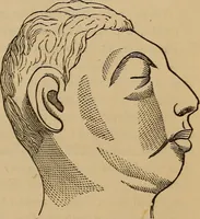 An illustration from The practical phrenologist and recorder and delineator of the character and talents of [blank], as marked by [blank] : a compendium of phreno-organic science (1869)