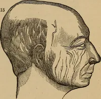 An illustration from The practical phrenologist and recorder and delineator of the character and talents of [blank], as marked by [blank] : a compendium of phreno-organic science (1869)