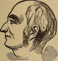 An illustration from The practical phrenologist and recorder and delineator of the character and talents of [blank], as marked by [blank] : a compendium of phreno-organic science (1869)