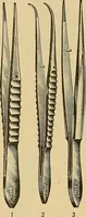 An illustration from Practical podiatry : (1918)