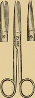 An illustration from Practical podiatry : (1918)