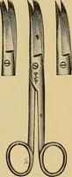 Picture 20 of 44 from Practical podiatry : (1918), leaf 101