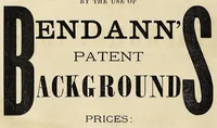 Picture 13 of 14 from The practical printer : a complete manual of photographic printing (1874), leaf 208