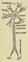 An illustration from Practical psychology : an advanced manual in the science of mental development, in eleven lessons (1922)