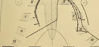 An illustration from Practical radiography : a handbook for physicians, surgeons, and other users of X-rays (1901)