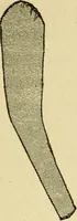 An illustration from Practical sewing and dressmaking (1913)