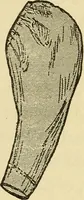 An illustration from Practical sewing and dressmaking (1913)