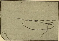 An illustration from Practical sewing and dressmaking (1913)
