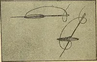 An illustration from Practical sewing and dressmaking (1913)