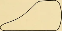 An illustration from Practical stationary engineering : in form of questions and answers (1909)