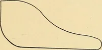 An illustration from Practical stationary engineering : in form of questions and answers (1909)