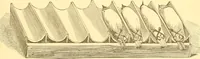 An illustration from Practical taxidermy, and home decoration : together with general information for sportsmen (1880)
