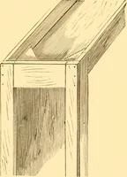 An illustration from Practical taxidermy, and home decoration : together with general information for sportsmen (1880)